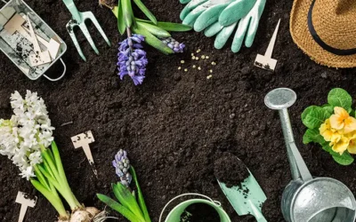 Les meilleurs outils complémentaires à la motobineuse pour votre jardin